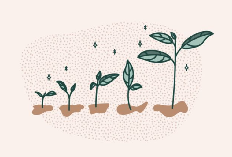 Crecimiento personal